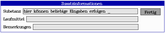 Abbildung 3: Eingabe der Zusatzinformationen