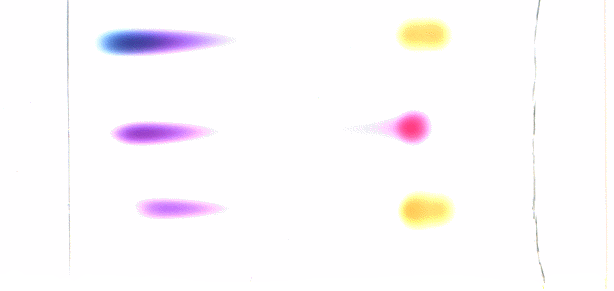 Abbildung 5: DC-Chromatogramm MKM